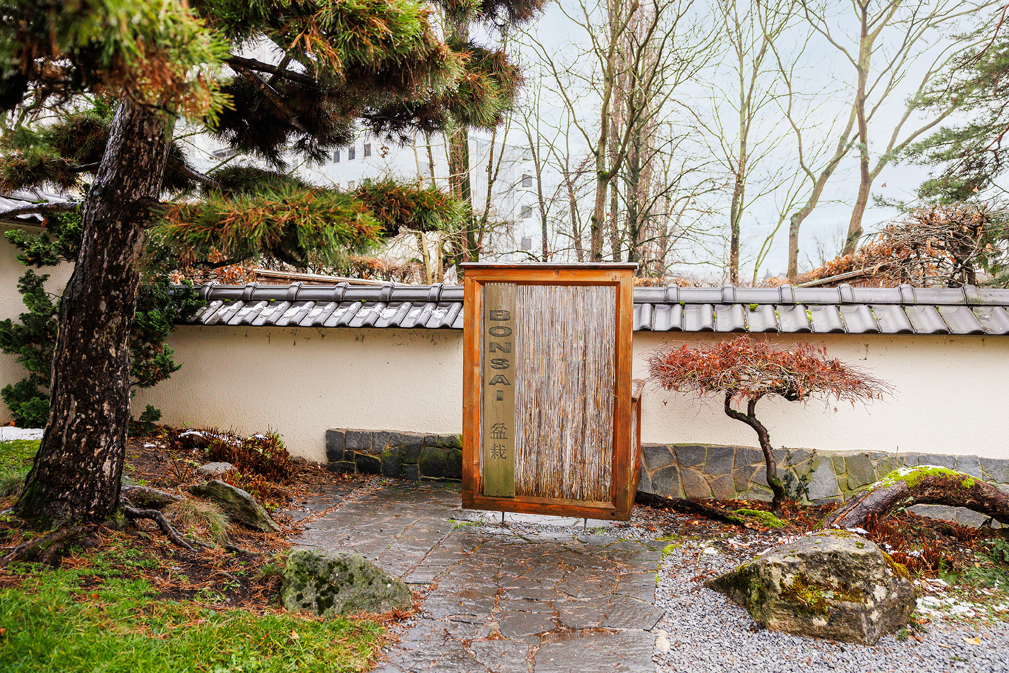 Eingang Bonsai-Ecke